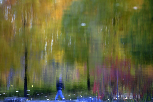 blue autumn red canada color reflection tree green fall water yellow quebec dream reverse dreamworld waterreflection domainemaizerets canoneos5dmarkii walkindream