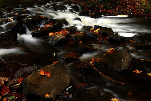 autumn water canon landscape 50mm newjersey nj parks sigma 400d natirar