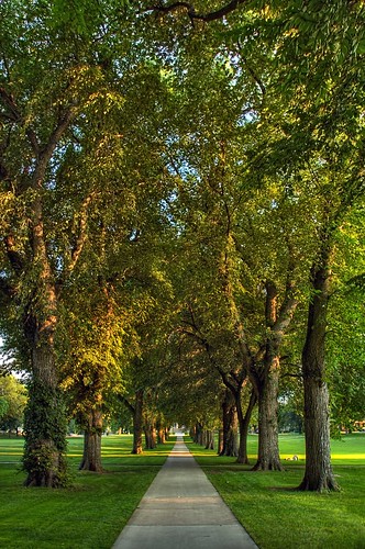 trees summer vanishingpoint colorado university searchthebest fort path fortcollins tunnel co collins oval csu 2007 coloradostateuniversity supershot outstandingshots clff mywinners abigfave impressedbeauty aplusphoto superbmasterpiece ysplix adoublefave