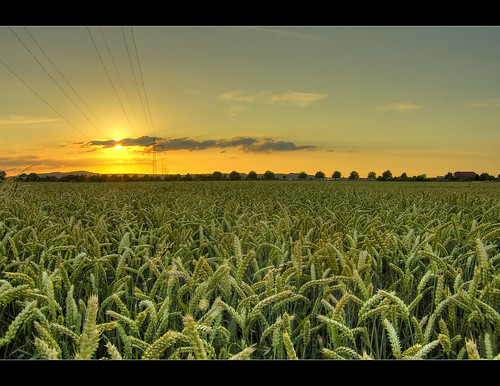 sunset summer germany geotagged deutschland sonnenuntergang sommer wheat hdr 2007 niedersachsen lowersaxony weizen superbmasterpiece photomatix25beta geo:lat=52318101 geo:lon=9678097
