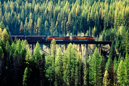 travel trestle bridge trees sky orange color green cars industry yellow horizontal pine rural forest train landscape outdoors corporate countryside montana iron paint industrial commerce mt crossing carriage diesel telephone horizon markets tracks engine rail railway nobody center cargo line nationalforest clear business evergreen valley transportation hauling locomotive poles through copyspace traveling coal scheme electrical economy freight bnsf isolated boxcars stockphoto rockcreek generalelectric transcontinental stockphotography burlingtonnorthernsantafe es44dc hiline nonurbanscene goatlick geevolutionseries bearmouth coveredhoppers toddklassy montanadocumentaryphotographers