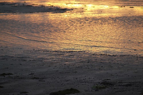 beach water evening ripple