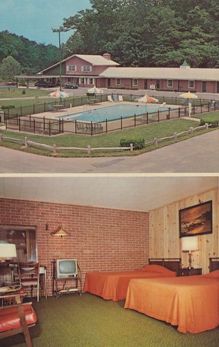 forest umbrella vintage streetlight postcard maryland motel roomview aaa ellicottcity poolview dualview