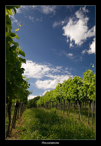 sky clouds austria vineyard heiligenbrunn