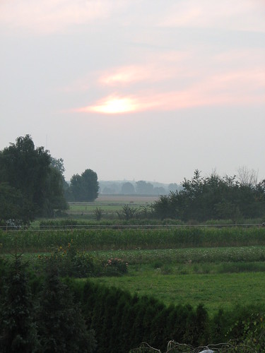 sunrise germany sonnenaufgang viewfrommywindow blickausmeinemfenster ragow hiwosomoshots stegepfuhl