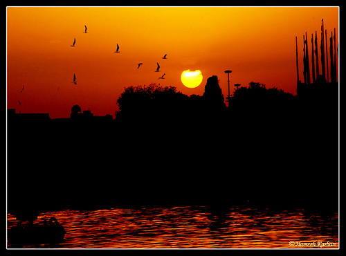 red sun bird river sundown iran esfahan اصفهان ايران غروب پرنده قرمز آفتاب زايندهرود پلخواجو khajubridge photoexplore روخانه