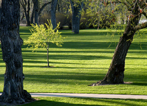 park morning landscape scenery shadows lawn hollidaypark cheyennewy