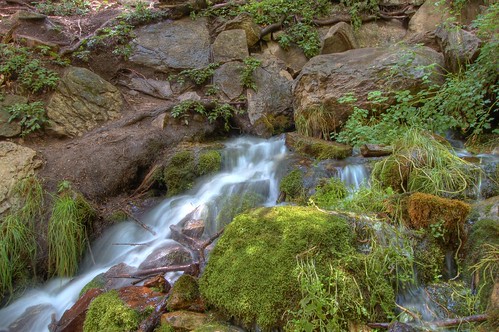 water creek hiking trail hdr hortoncreek