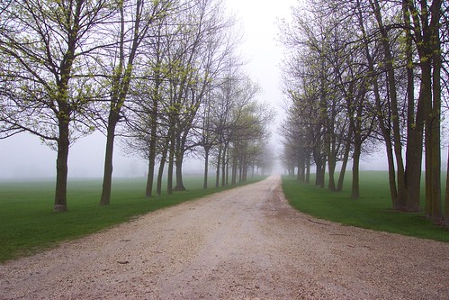 road trees mist fog wisconsin landscape path trail portwashington