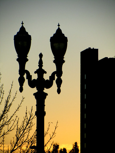 trees silhouette sunrise streetlamp highrise dualism ourdailychallenge