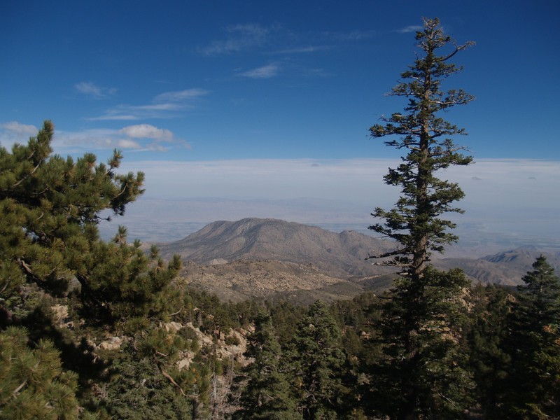 View of Martinez Mountain from the road near Toro Peak