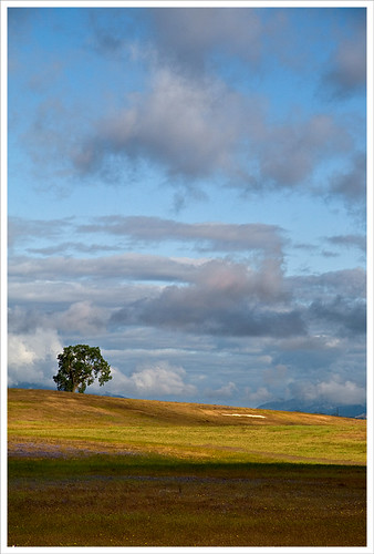 california light sky tree field clouds canon landscape scenery country karith