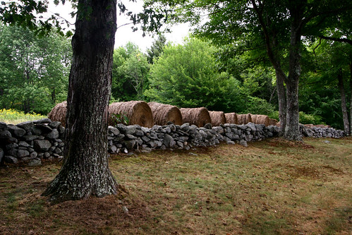newengland stonewall haybales moorestatepark