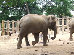 Ho Chi Minh City Zoo