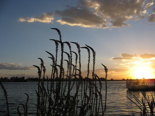 sunset sky sun water clouds canon utah pond ducks daviscounty a710 spoiler3 bountifulpond