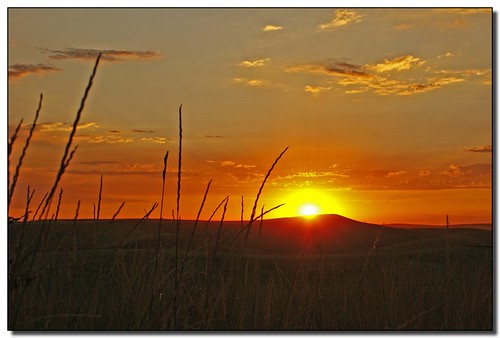 sunset grass moscow wheat idaho palouse aplusphoto