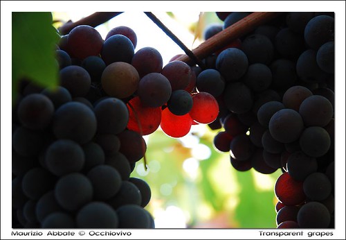 Transparent grapes