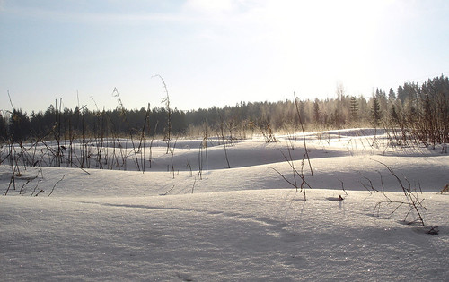 winter snow cold sunshine finland landscape tracks freezing terjärv teerijärvi