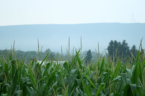 road corn pennsylvania ridge pa montgomery