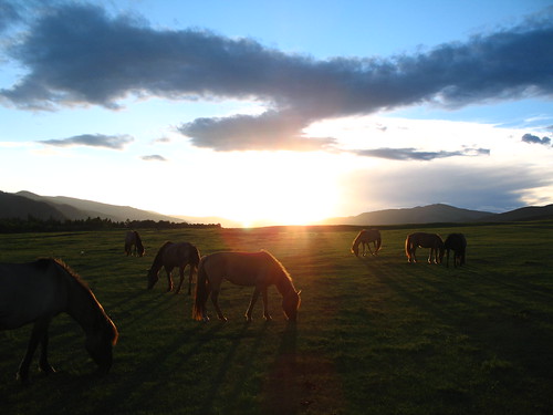 sunset horse mongolia transsiberian terelj