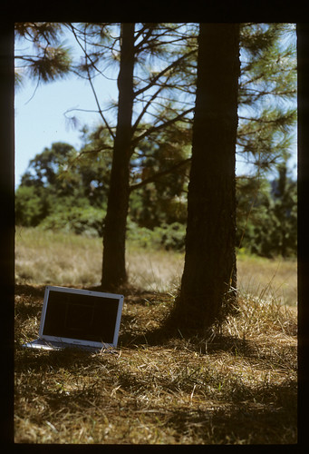 trees computer laptop shade figureinthelandscape lebanonorlandscape symbolicselfportrait