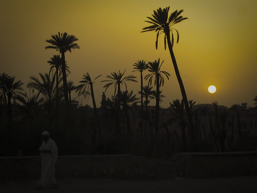 africa marrakech marrakesh marrocos morocco desertos deserts nature natureza pôrdosol skyperfection sunset sunsethub sunsetmadness sunsetpics sunsetstream sunsetuniverse sunsetlovers sunsetsniper unlimitedsunset worldbestsky áfrica