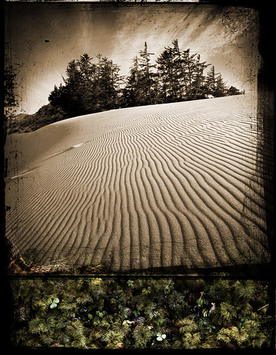 moss sand dunes danielcolvin digitalalchem