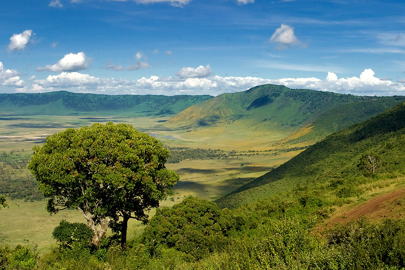where to go in africa ngorongoro crater in tanzania