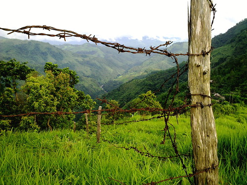 wood trees summer sky brown white mountain tree green nature grass forest fence river photography photo wire rust post hiking peaceful hike fresh hills adventure explore valley serene 365 barb spiritual nagaland