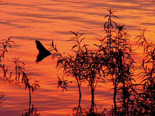 sunset lake refuge craborchardwildliferefuge