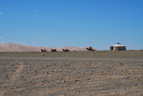 sky colour geotagged sand dunes mongolia day7 camels gobi gobidesert d80 cammelli khongorynels gher atriptomongolia cammellodellabattriana undertheskyofmongolia geo:lat=43846908 geo:lon=102123756