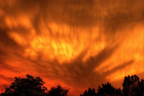 trees light sunset sky orange sunlight storm reflection clouds skyscape colorado shadows denver coolest littleton 200706
