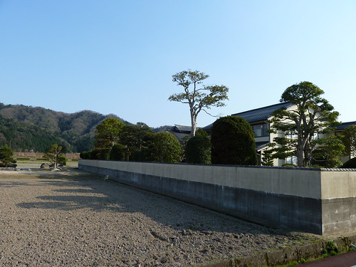 trees japan landscapes views matsue honshu adachimuseumofart