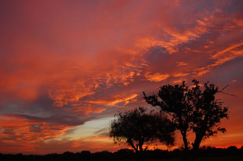 blue trees sunset red sky orange night fire texas cloudy corpuschristi yorktown pow christi corpus bdp
