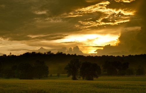 york trees sunset clouds landscape geotagged nikon dusk pennsylvania 1870mmf3545g pa d200 1870mm 1870