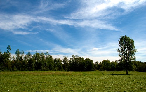 trees sky clouds landscape meadow wiese himmel wolken landschaft bäume 20070823