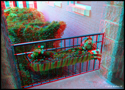 autumn fall outside outdoors stereoscopic 3d md brian maryland anaglyph stereo ornament wallace easton stereoscopy stereographic brianwallace stereoimage stereopicture