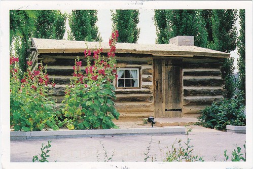 Pioneer Log Home
