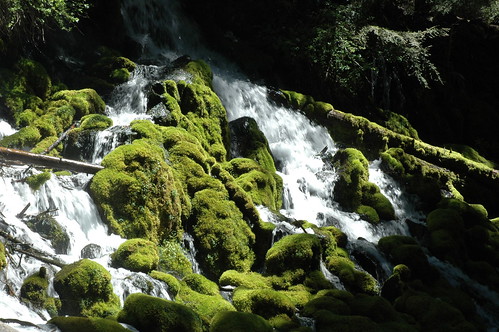 oregon river waterfall moss stream nikond70 umpquariver clearwaterfalls