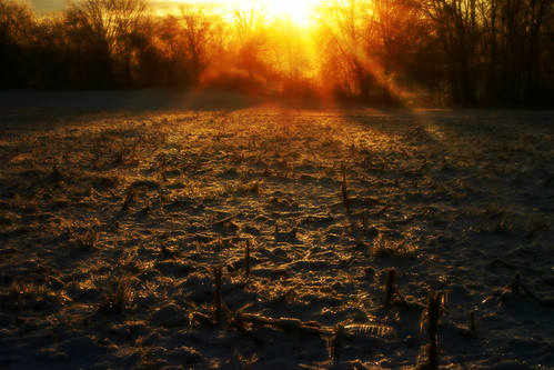 orange sun sunrise dark woods fields