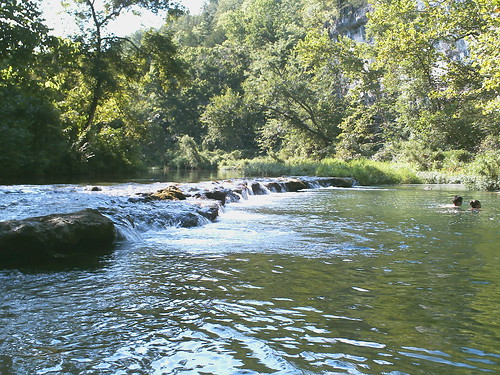 trees creek river clifs whater streem
