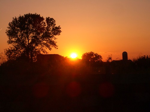 sunset farm