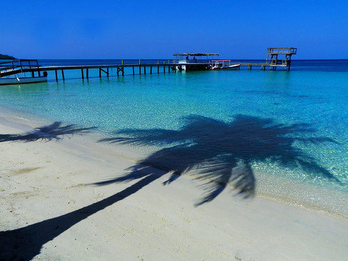 blue shadow beach aqua kodak azure honduras palm caribbean roatan carnivalcruise carnivalglory westbaybeach maryleeusa maryleepope kodakz981