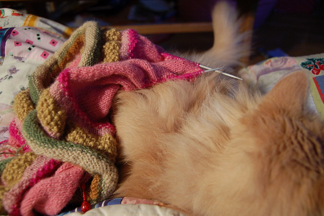 Cat and knitting in my lap by iHanna, www.ihanna.nu