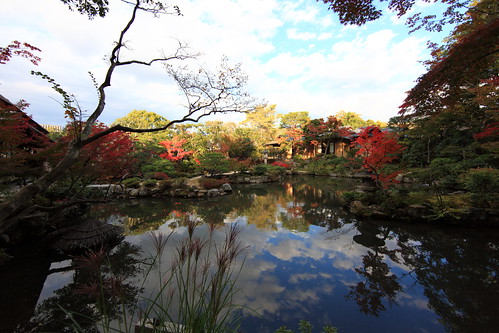 Japanese style garden / 日本庭園(にほんていえん)