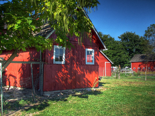 county trees red summer grass barn illinois barns goat il shade farms perry hdr kankakee bourbonnais