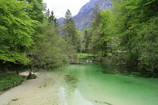 Green water