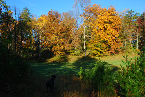 autumn fall landscape oct westvirginia waverly 2020