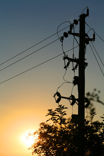 sunset yellow telephonewire shepeaustowlincolnshire