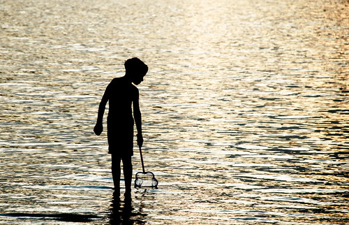 boy net water silhouette wisconsin kids fishing exploring son devilslake